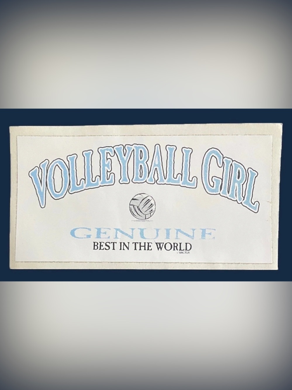 Vintage 90s Wactor Associates Sticker Volleyball Girl Vending Decal Y2K